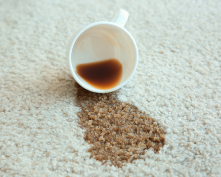 Comment nettoyer une tache de café sur un tapis?